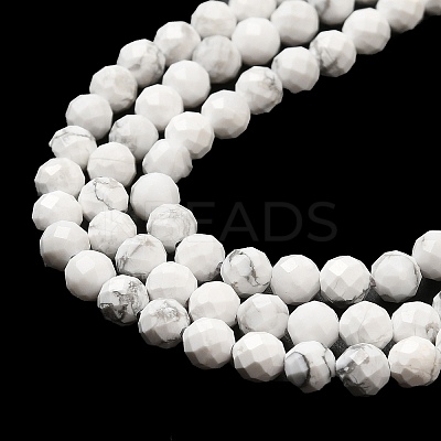 Natural Howlite Beads Strands G-E608-A01-C-1