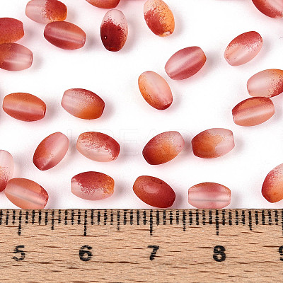 Frosted Glass Seed Beads SEED-N008-05E-1