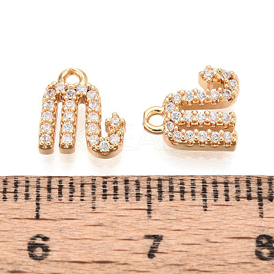 Brass Micro Pave Cubic Zirconia Charms KK-N263-148A-G-1