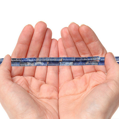 2 Strands Natural Sodalite Beads Strands G-GO0001-42-1