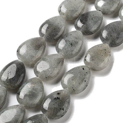 Natural Labradorite Beads Strands G-P528-L03-01-1