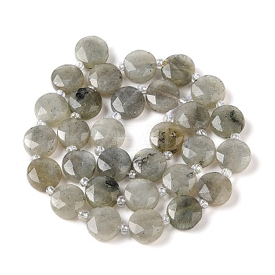 Natural Labradorite Bead Strands LS-G-C116-A10-01-1