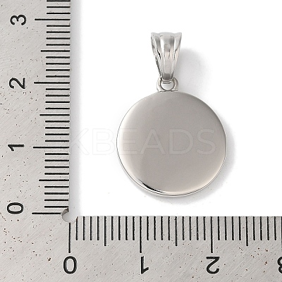 Non-Tarnish 304 Stainless Steel Pendants STAS-Z075-08P-1