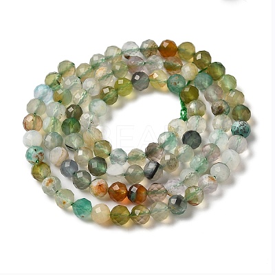 Natural Agate Beads Strands LS-G-C137-A02-02-1