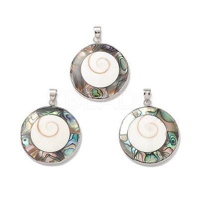 Natural Abalone Shell/Paua Shell Pendants BSHE-E029-02P-1