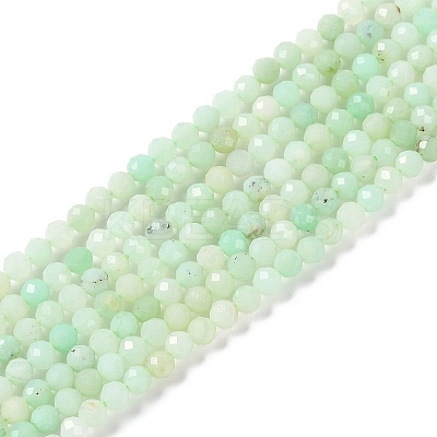 Natural Chrysoprase Beads Strands G-P542-A04-02-1