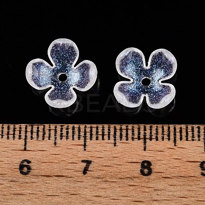 Transparent Acrylic Bead Caps OACR-ZX006-20-1