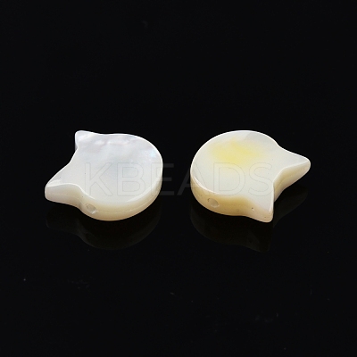 Natural White Shell Beads SSHEL-N003-142-1