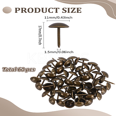 60Pcs Iron Round Head Nails CABI-LP0001-02AB-1