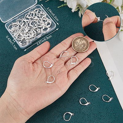 60Pcs Brass Leverback Earring Findings KK-CN0003-06-1