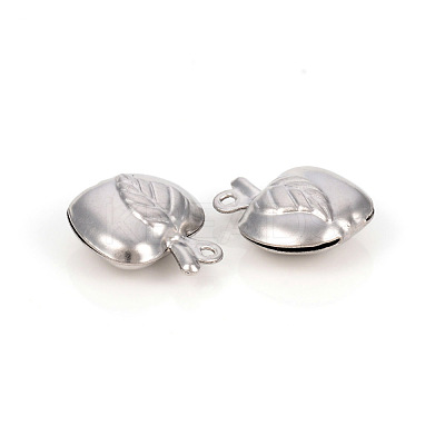 Non-Tarnish 304 Stainless Steel Charms STAS-L244-12P-1
