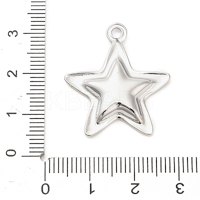 304 Stainless Steel Pendants STAS-P399-03C-1
