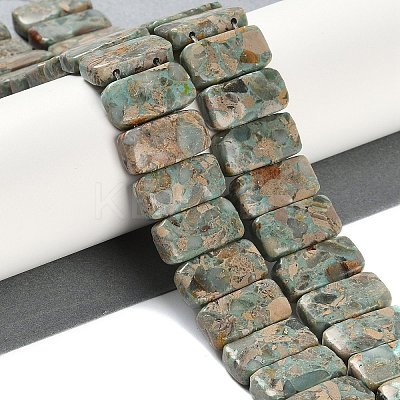 Assembled Natural Shoushan Stone/Larderite Beads Strands G-L604-F02-01-1