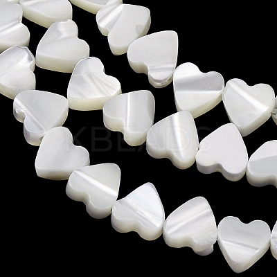 Natural Trochid Shell/Trochus Shell Beads Strands SH-CBA2978-10-1