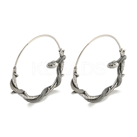 316 Surgical Stainless Steel Hoop Earrings for Women and Men EJEW-D096-22A-AS-1