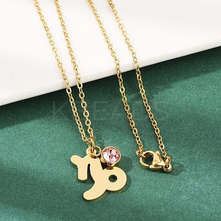 304 Stainless Steel Glass Drill Birth Stone Constellation Pendant Necklaces LS-STAS-D305-08G-J-1
