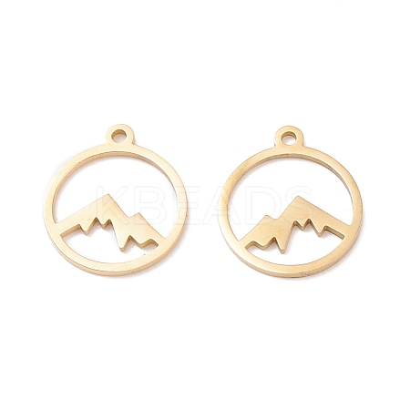 Ion Plating(IP) 304 Stainless Steel Charms STAS-N090-LA003G-1