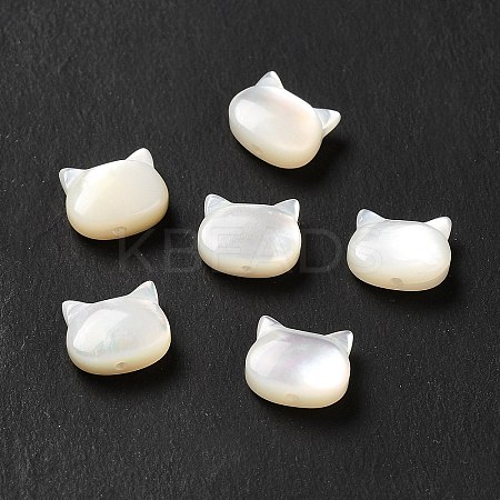 Natural White Shell Beads SHEL-G014-10B-01-1