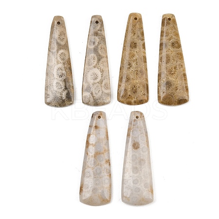 Natural Fossil Coral Pendants G-B187-01C-03-1