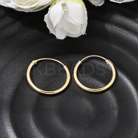 Brass Hoop Earrings EJEW-G474-01G-02-1