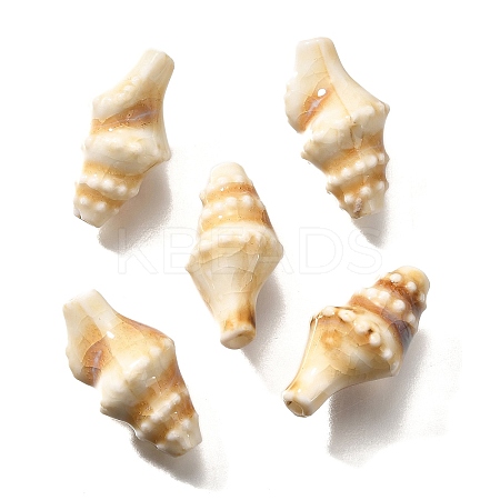 Handmade Porcelain Beads PORC-H013-03-08-1