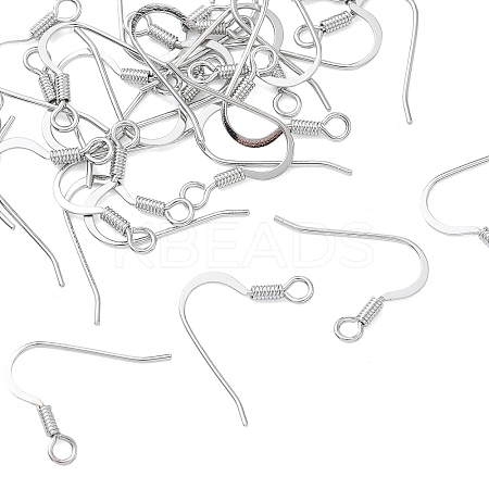 SHEGRACE Brass Earring Hooks XGR0139P-152P-1