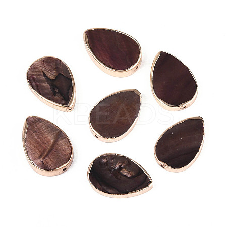 Dyed Natural Freshwater Shell Beads SHEL-T020-23-1