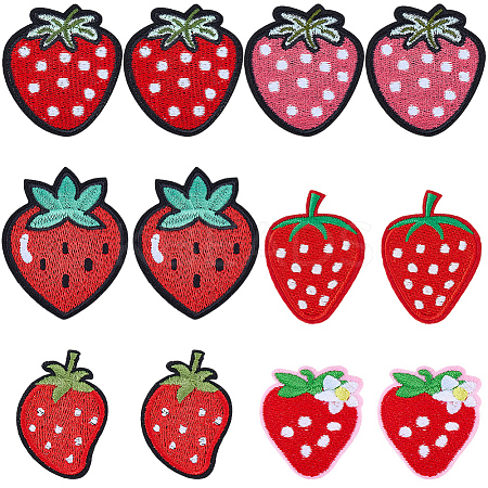 12Pcs 6 Styles Cloth Embroidery Cloth Iron on/Sew on Patches PATC-CP0001-09B-1