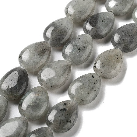 Natural Labradorite Beads Strands G-P528-L03-01-1