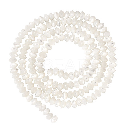 1 Strand Natural Trochus Shell Rondelle Beads Strands SSHEL-TA0001-16A-1