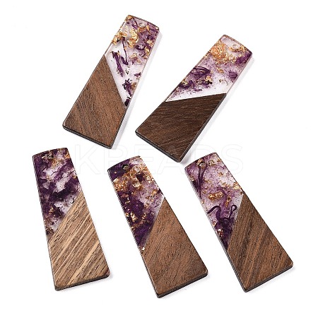 Opaque Resin & Walnut Wood Pendants RESI-T058-04E-1