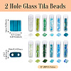 204~240Pcs 12 Colors 2-Hole Glass Seed Beads SEED-TA0001-19-3
