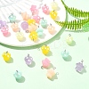 30Pcs 6 Colors Luminous Opaque Resin Pendants JACR-YW0001-03-4