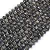 Natural Larvikite Beads Strands G-P573-A54-01-2