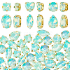 106pcs 6 Style Sew On Rhinestone FIND-OC0004-09D-1