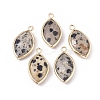 Natural Dalmatian Jasper Pendants G-L514-023H-1