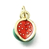 Brass with Enamel Charms KK-Q066-01C-G-1