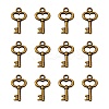 Gifts Ideas for Her Tibetan Style Alloy Charms LS-MLF11975Y-NF-1