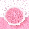 FGB Frosted Transparent Glass Seed Beads SEED-N013-02A-05-2