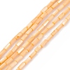Natural Freshwater Shell Dyed Beads Strands SHEL-M018-11-02-1