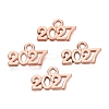 New Year's Day Alloy Charms FIND-N014-01RG-1