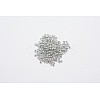 8/0 Electroplate Glass Seed Beads SEED-Q004-P-1