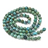 Natural HuBei Turquoise Beads Strands G-P629-A04-03-3