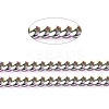 Ion Plating(IP) 304 Stainless Steel Twisted Chains CHS-D028-03M-A01-4