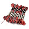 10 Skeins 6-Ply Polyester Embroidery Floss OCOR-K006-A37-1