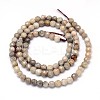 Natural Fossil Coral Round Bead Strands G-O094-08-4mm-3