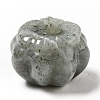 Natural Gemstone Sculpture Display Decorations G-C244-02-2