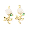 Brass Micro Pave Clear Cubic Zirconia with Resin Pendants KK-G533-03G-02-1