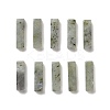 Natural Labradorite Pendants G-L593-01C-1