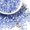 Glass Seed Beads X1-SEED-H002-D-A814-1